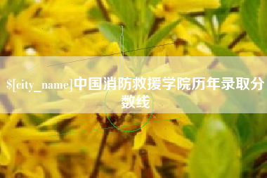 乐清中国消防救援学院历年录取分数线