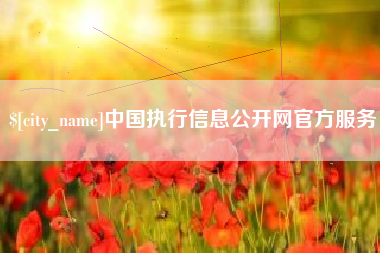 乐清中国执行信息公开网官方服务