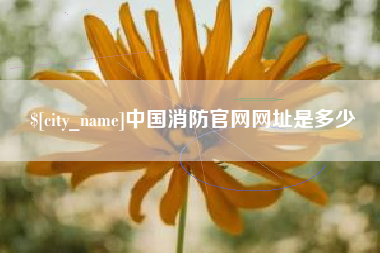 乐清中国消防官网网址是多少