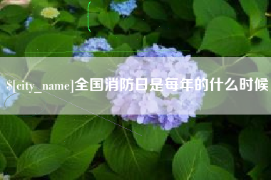 乐清全国消防日是每年的什么时候