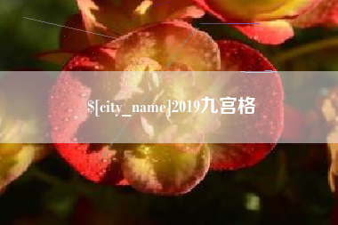 乐清2019九宫格