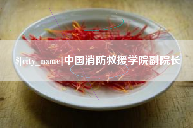 乐清中国消防救援学院副院长