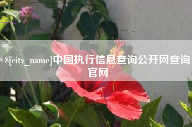乐清中国执行信息查询公开网查询官网
