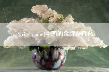 乐清中国的金牌有几名