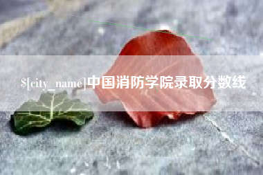 乐清中国消防学院录取分数线