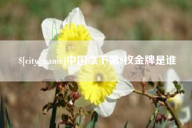 乐清中国拿下第9枚金牌是谁