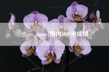 乐清国内5000米成绩
