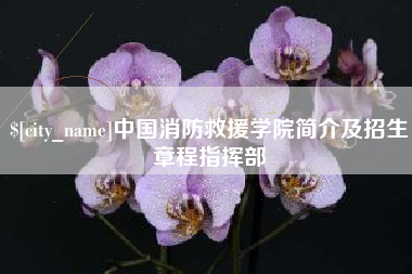 乐清中国消防救援学院简介及招生章程指挥部