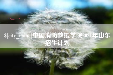 乐清中国消防救援学院2021年山东招生计划