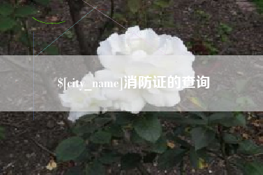 乐清消防证的查询