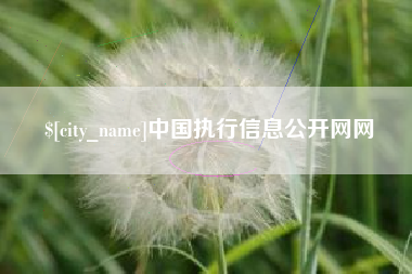 乐清中国执行信息公开网网