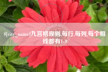 乐清九宫格规则,每行,每列,每个粗线都有1-9