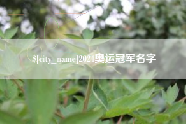 乐清2024奥运冠军名字