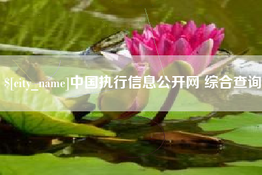 乐清中国执行信息公开网 综合查询