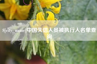 乐清中国失信人员被执行人名单查询