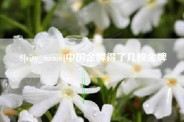 乐清中国金牌得了几枚金牌