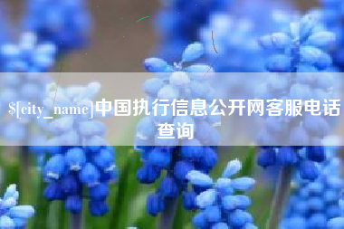 乐清中国执行信息公开网客服电话查询