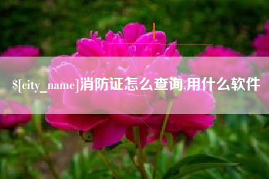 乐清消防证怎么查询,用什么软件