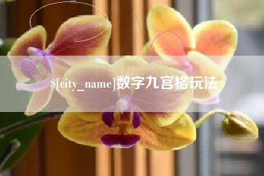 乐清数字九宫格玩法