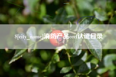乐清消防产品cccf认证目录
