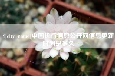 乐清中国执行信息公开网信息更新时间是多久