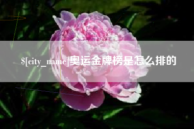 乐清奥运金牌榜是怎么排的