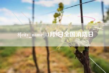 乐清11月9日全国消防日