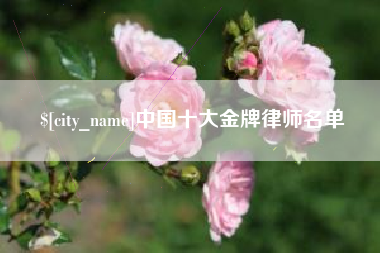 乐清中国十大金牌律师名单