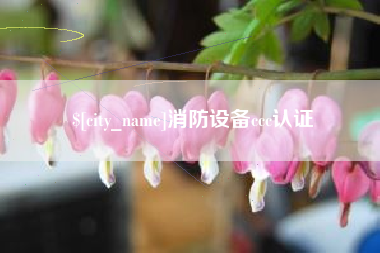 乐清消防设备ccc认证