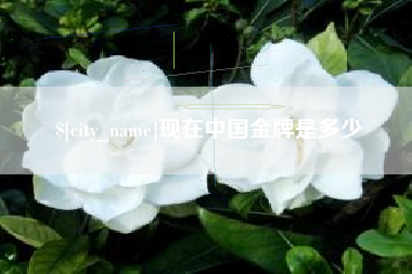 乐清现在中国金牌是多少