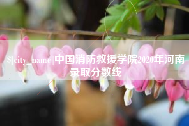 乐清中国消防救援学院2020年河南录取分数线