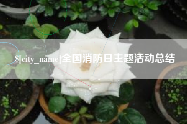 乐清全国消防日主题活动总结