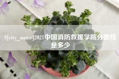 乐清2021中国消防救援学院分数线是多少