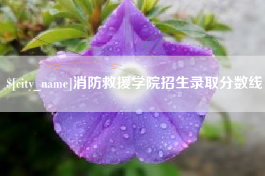 乐清消防救援学院招生录取分数线