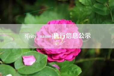 乐清执行信息公示