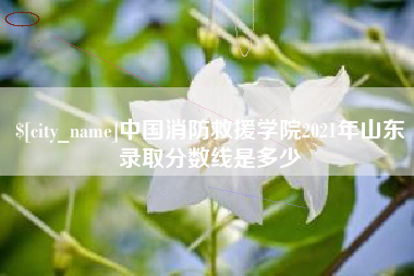 乐清中国消防救援学院2021年山东录取分数线是多少