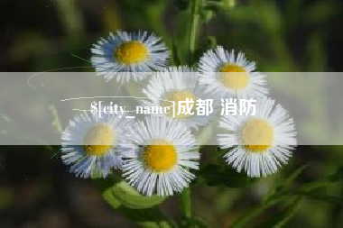 乐清成都 消防