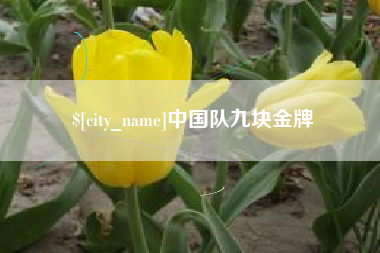 乐清中国队九块金牌