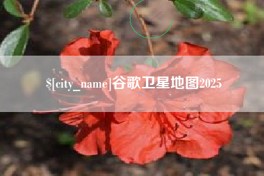 乐清谷歌卫星地图2025