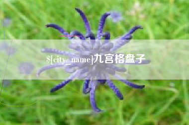 乐清九宫格盘子