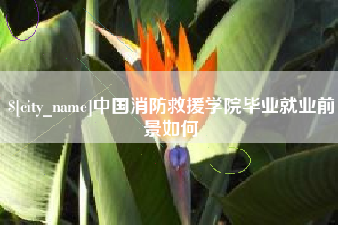 乐清中国消防救援学院毕业就业前景如何