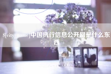 乐清中国执行信息公开网是什么东西