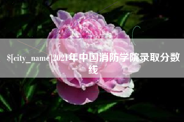 乐清2021年中国消防学院录取分数线
