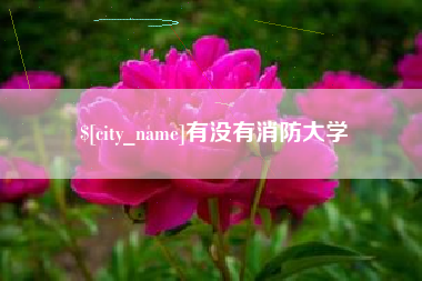 乐清有没有消防大学