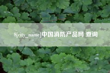 乐清中国消防产品网 查询
