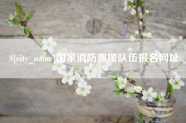 乐清国家消防救援队伍报名网址
