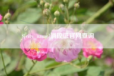 乐清消控证官网查询