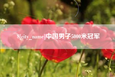 乐清中国男子5000米冠军
