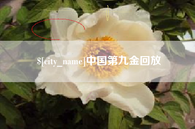 乐清中国第九金回放