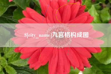 乐清九宫格构成图